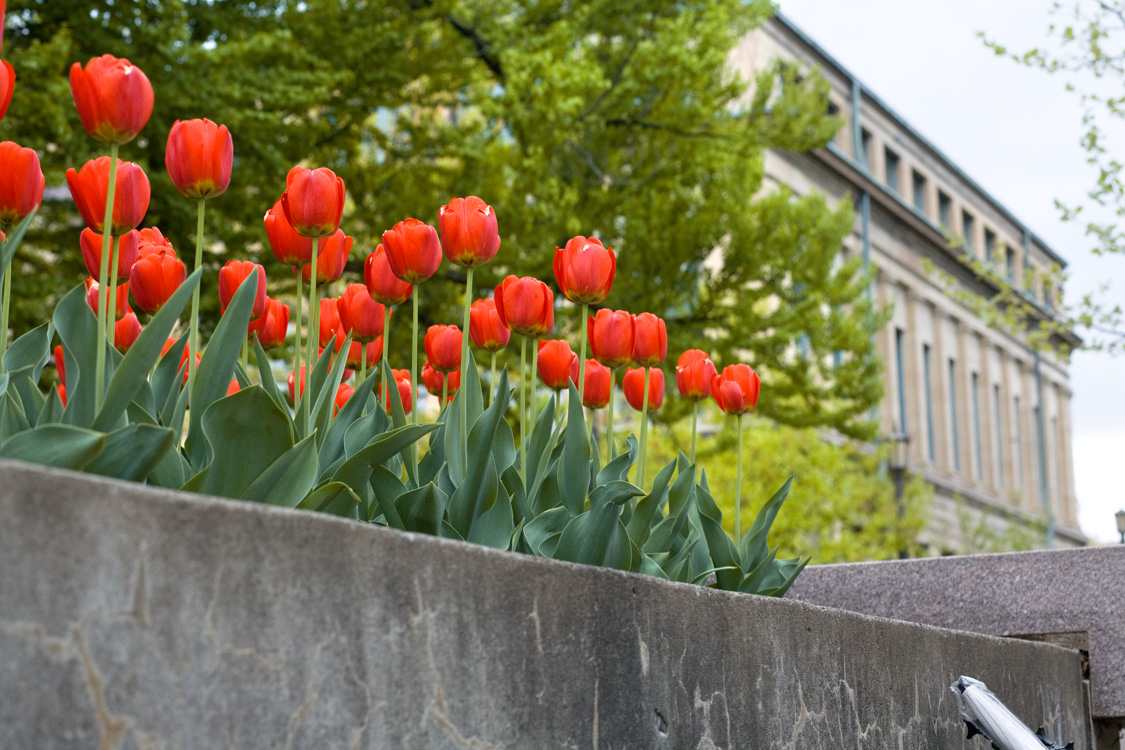 faculty-senate-office-of-the-dean-of-faculty