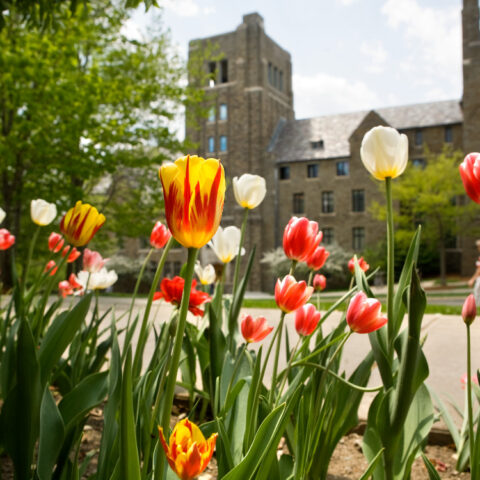 Spring flowers in bloom outside Myron Taylor Hall.