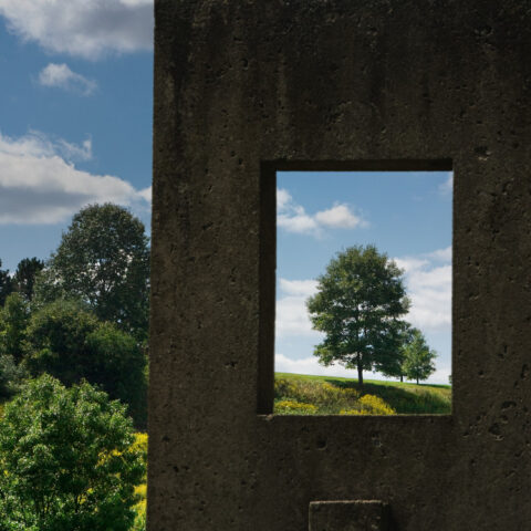 Sculptures in the F. R. Newman Arboretum.
