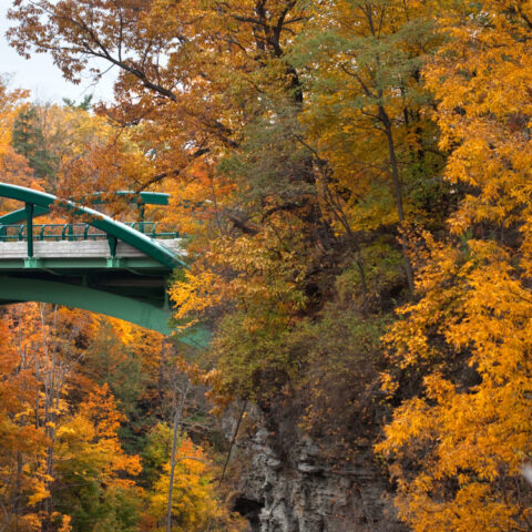 The Thurston Avenue Bridge in fall.