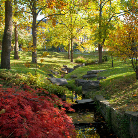 Cornell Campus photo with flowing stream, green grass and trees.