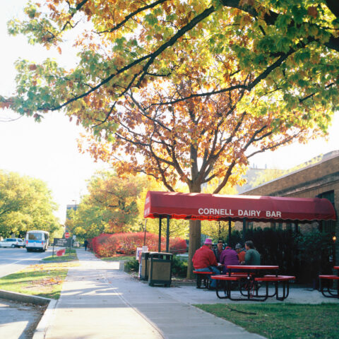 The Cornell Dairy Bar and Store.