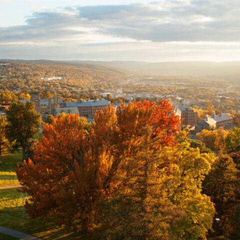 Libe Slope and west campus in fall.