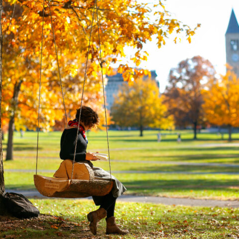 A student relaxes with a book in the afternoon sun on a tree swing on the Arts Quad.