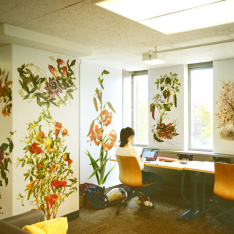 Peter C. Meinig 1961 Memorial Reading Room - Olin Library