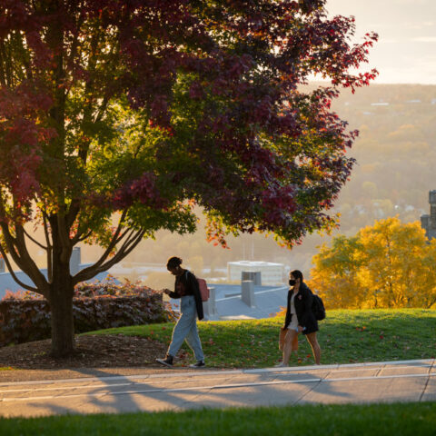 Afternoon sun warm students crossing near the top of Libe Slope.