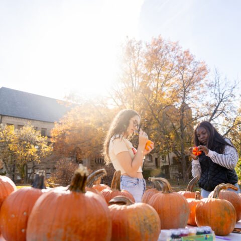 Students paint pumpkins on the Arts Quad