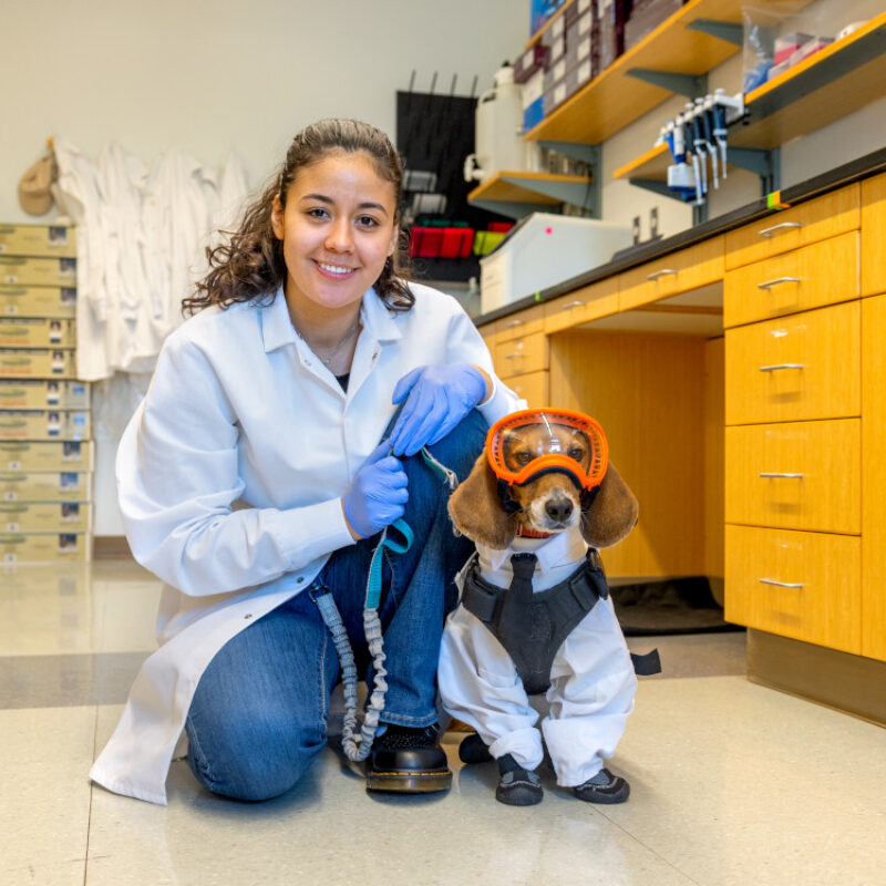 Commitment To Academic Integrity Equitable Instruction Trust And