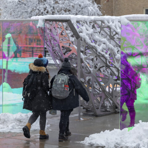 Students on a snowy walk to class near the College of Human Ecology through the PolyForm Art installation.