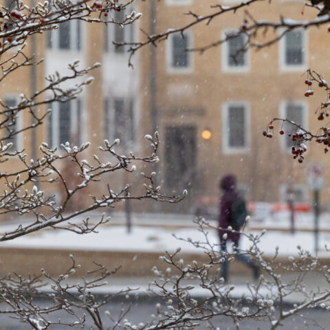 A student walks to class past Martha van Rennselaer Hall through snow flurries.