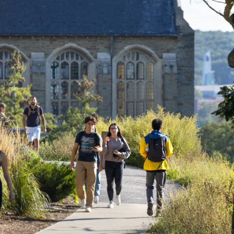 Students detour around McGraw Tower at the top of Libe Slope.