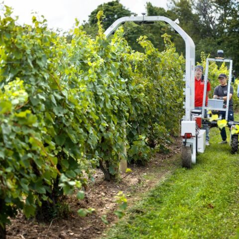 Members of Yu Jiang's team demonstrate the PhytoPatholoBotas and UV light robot as part of the “Space for Ag Tour” at the Cornell Agritech campus.