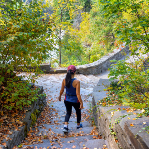 A student walks the trails around Beebe Lake.