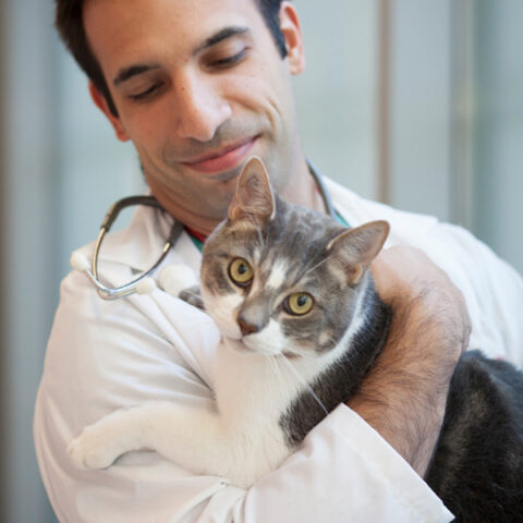 Manuel Martin-Flores, assistant professor of clinical sciences (VETCS), with a cat.