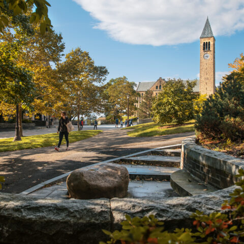 McGraw Tower