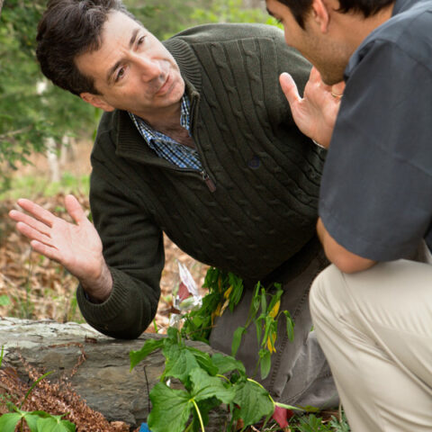 Robert Raguso, professor of neurobiology and behavior (NBB), collecting scents with a student in the Mundy Wildflower Garden, Cornell Plantations (PLTNS).