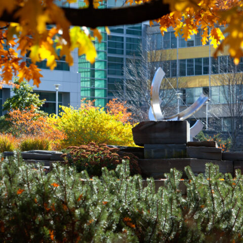 The Pew Sundial on the Engineering Quadrangle in fall.