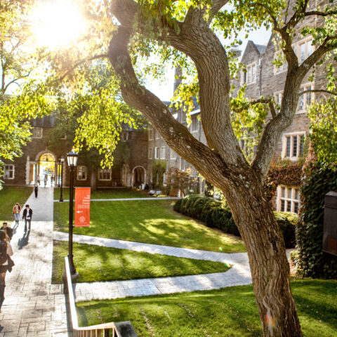 The Balch Hall courtyard in fall.