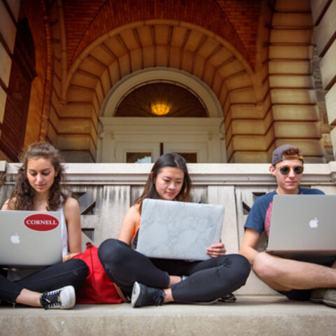 Students work outside Sibley Hall.