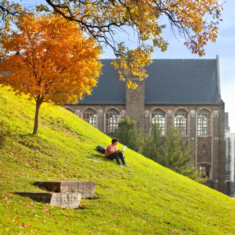 A student studies on Libe Slope in fall, with Willard Straight Hall in the background.