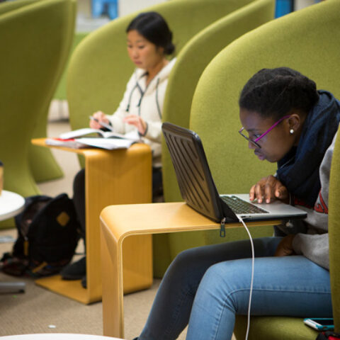 Students at work in Mann Library.