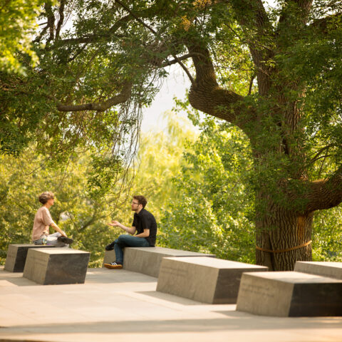 Students chat in the Sesquicentennial Grove on Libe Slope.