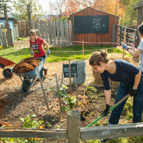 Students help with yard work at the Ithaca Children's Garden during the 2017 Into the Streets, Cornell's largest student-directed, public service event.