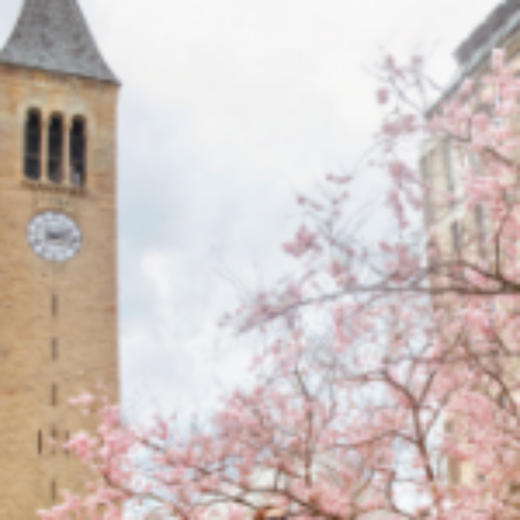 mcgraw tower